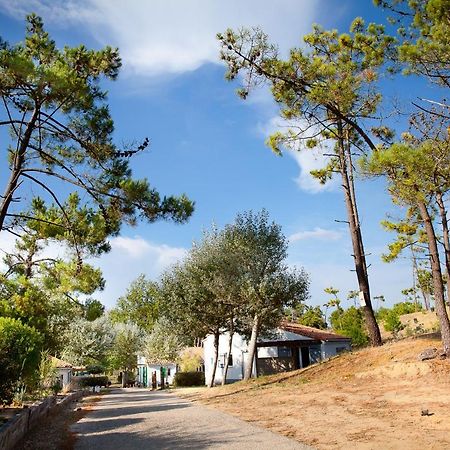 Village Vacances Le Petit Bec Saint-Hilaire-de-Riez Eksteriør bilde