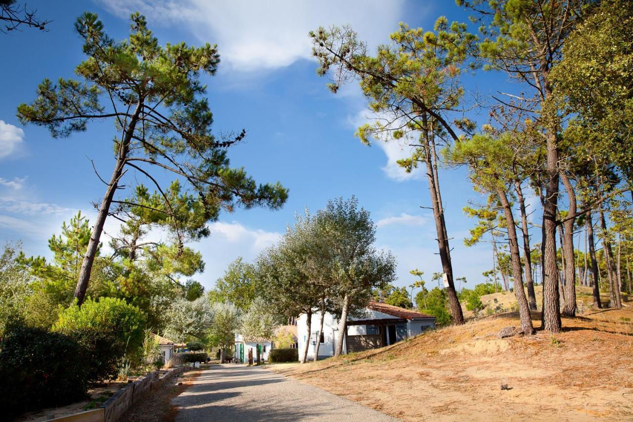 Village Vacances Le Petit Bec Saint-Hilaire-de-Riez Eksteriør bilde